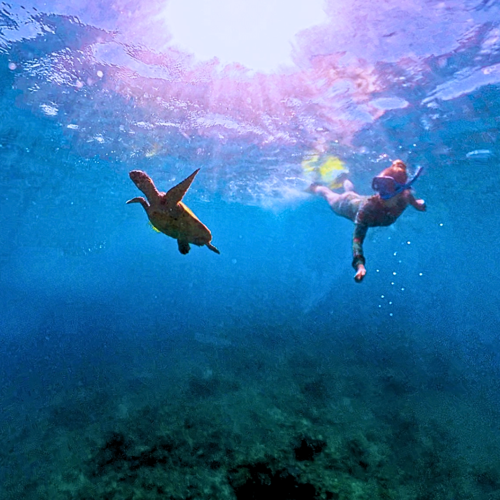 Heading 5 675e7b5c 64f2 4f96 84cc a8885e0e41e6