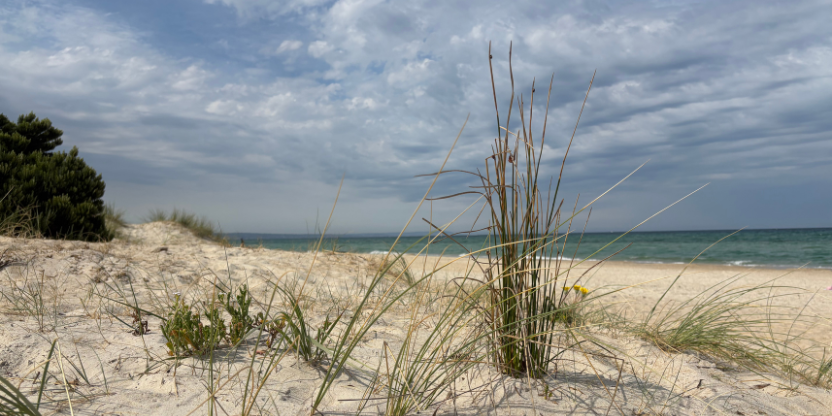 Heading 832 x 640 px 3 63e3a5a8 b9b7 45d8 956e 469c8bfab937