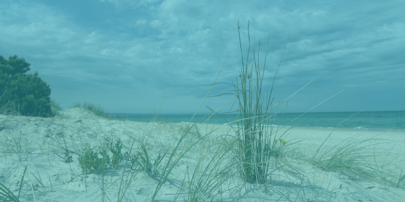 Heading 832 x 640 px 4