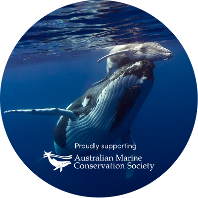 Supporting amcs image v1 1 1