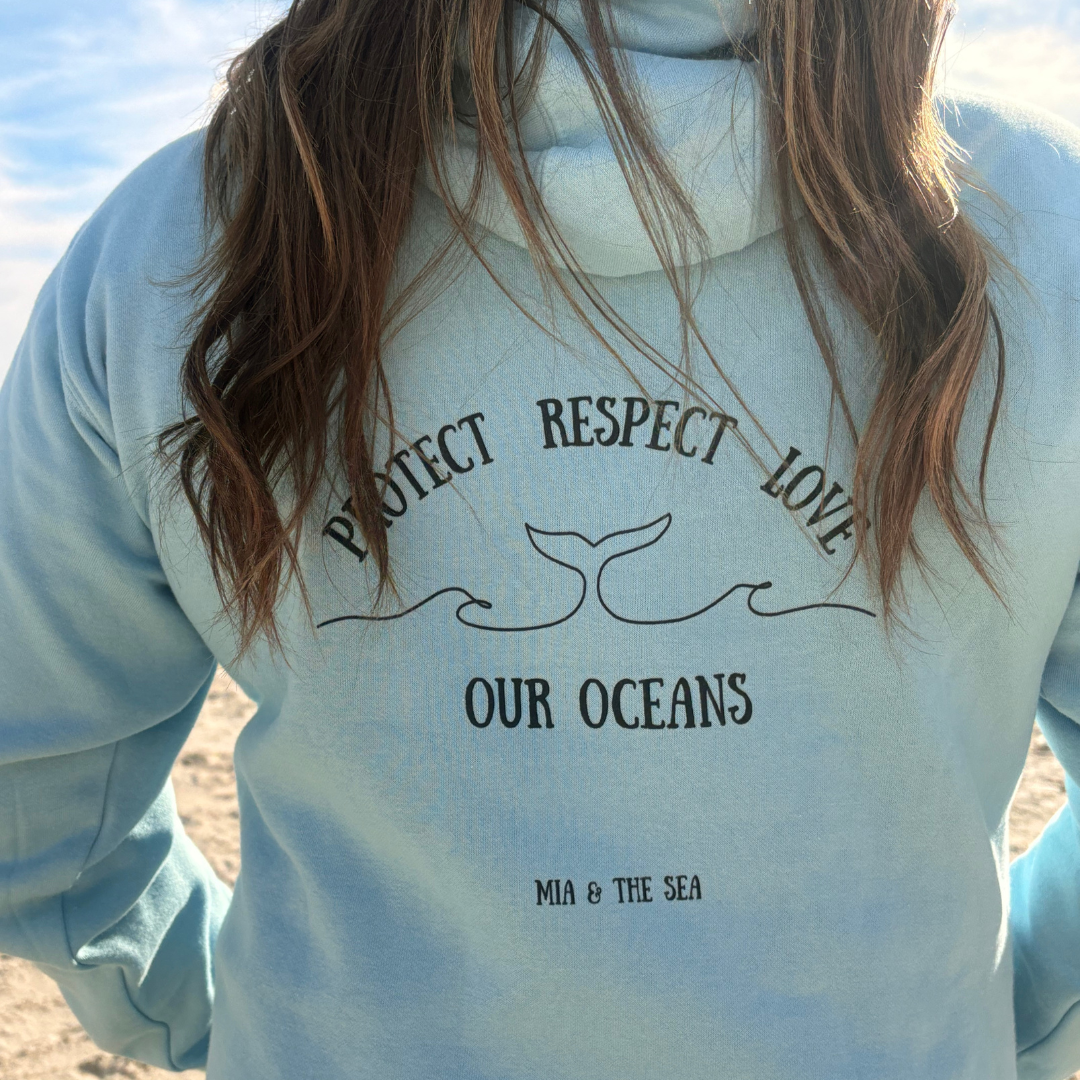 Person wearing a light blue Protect Respect Love Hoodie with ocean conservation message, back view, on a beach.